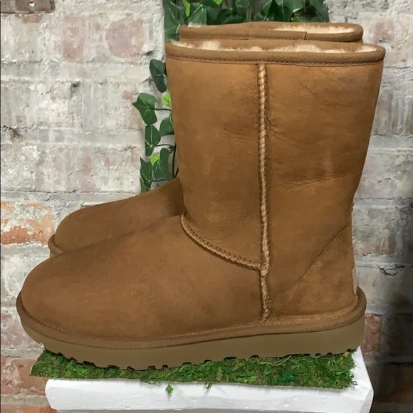 NIB UGG Classic Short Boot 2 Chestnut - Picture 2 of 7